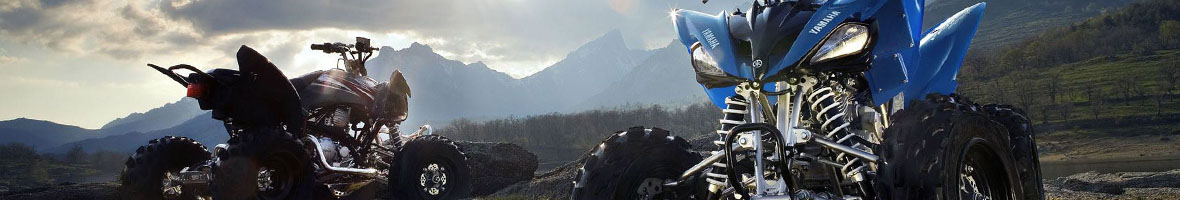 Banner 1
